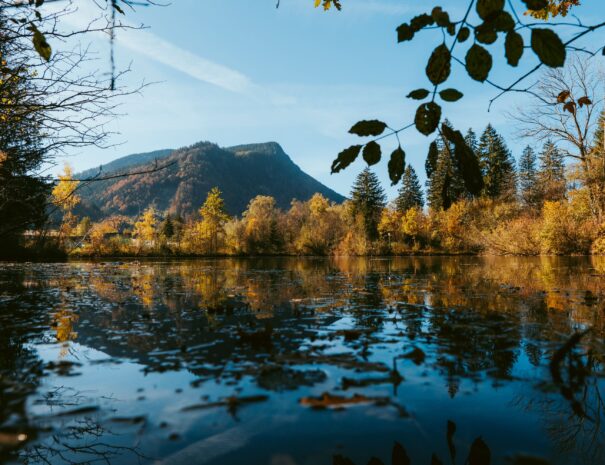 Web_Version-Auwaldsee im Herbst ©Tourist Information Immenstadt, Tan Akman (1)
