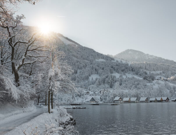 Winter am Alpsee ©Tourist Information Immensadt, Tan Akman (11)
